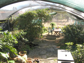 greenhouse Joan Relke and Carl Merten